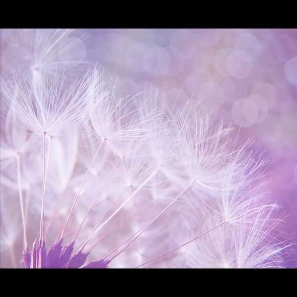 Meet your Posher, Estelle - Picture 1 of 13